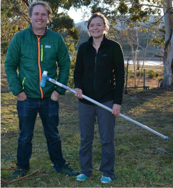 Sam Kahsnitz and Kaitlyn O'Brien, joined the mange treatment team in June last year, and have done a great job. Pictured with the extendable painters pole, used to apply a cattle pour-on directly onto a wombat with mange.