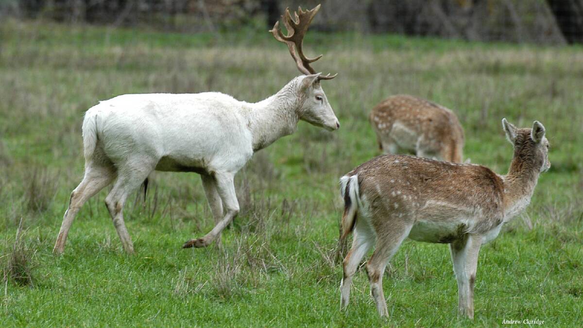 Targeting illegal hunting hot spots