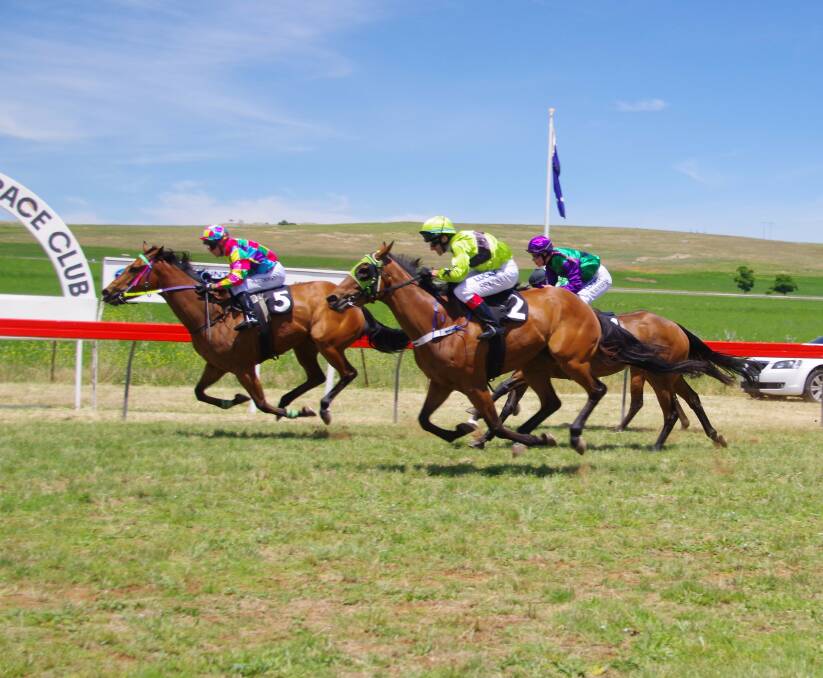 At the Cooma Races on Saturday, Bombala horse Melly Moon trained by Anita Walder came in third to Suedama Sun first and An Absolutemiracle second in Race 1.
