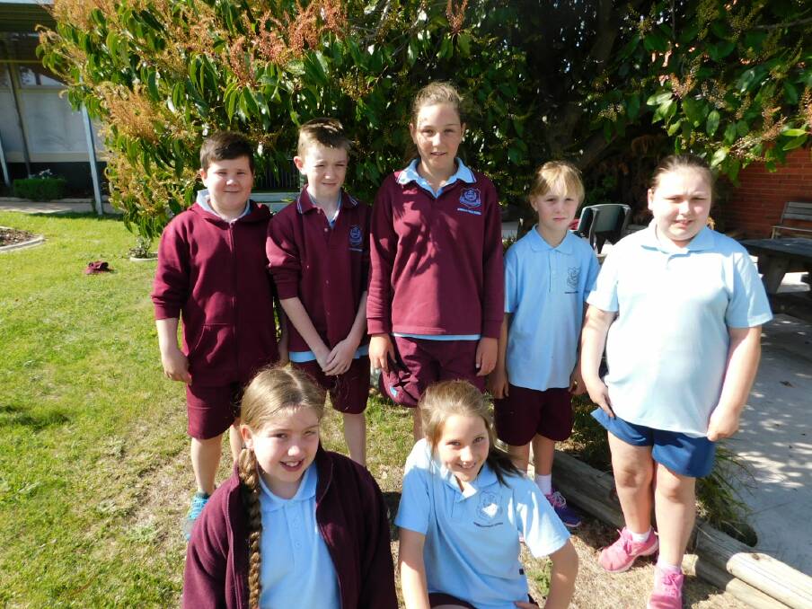Photo Of the Winners

SNOWY SCIENCE: Winners of the Science on the Snowy competition from Bombala Public School were from back left Jackson Tellis, Tye Gulliford, Bridie Hampshire, Ashley Lloyd. Front Courtney Bennett and Sophie Wood.