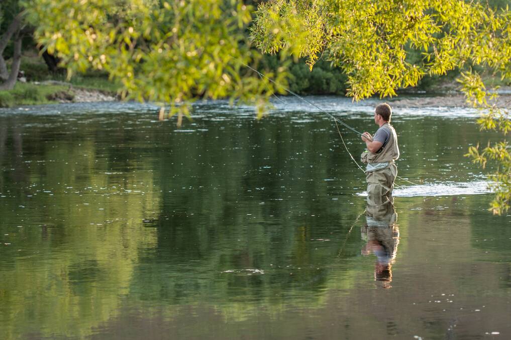 FISHING: Trout season in NSW officially opens this Saturday, October 5. Image by Alistair McBurnie