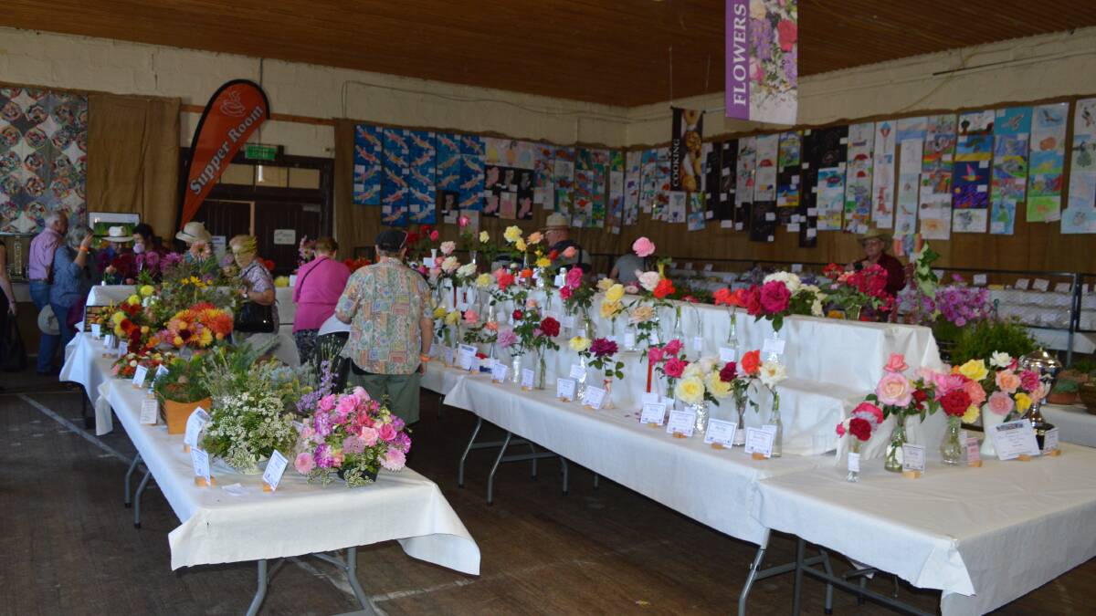SHOW READY:  The Bombala Show is on Saturday with pavilion entries being accepted on Wednesday and Thursday.