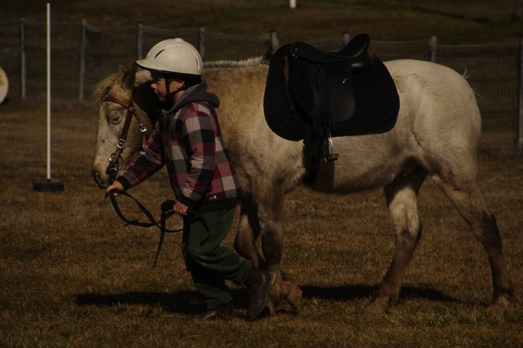 At the Delegate Pony Club rally held in Delegate on Saturday, young Aspen Cameron leads her pony Rusty through the poles.