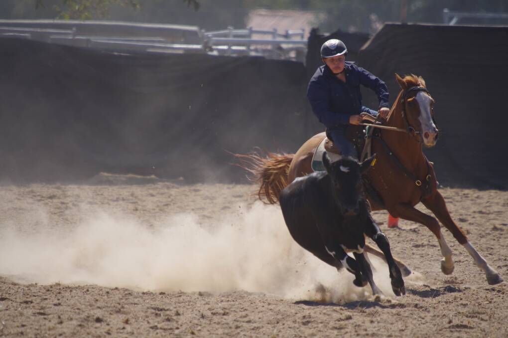 Local junior rider, Lockie Reed riding in the Junior Draft section of the Delegate Campdraft at the Delegate Showground over the weekend.