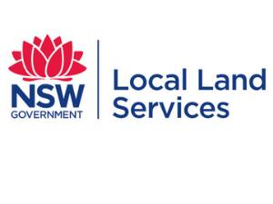 Appointment only - Local Land Services customer service centre