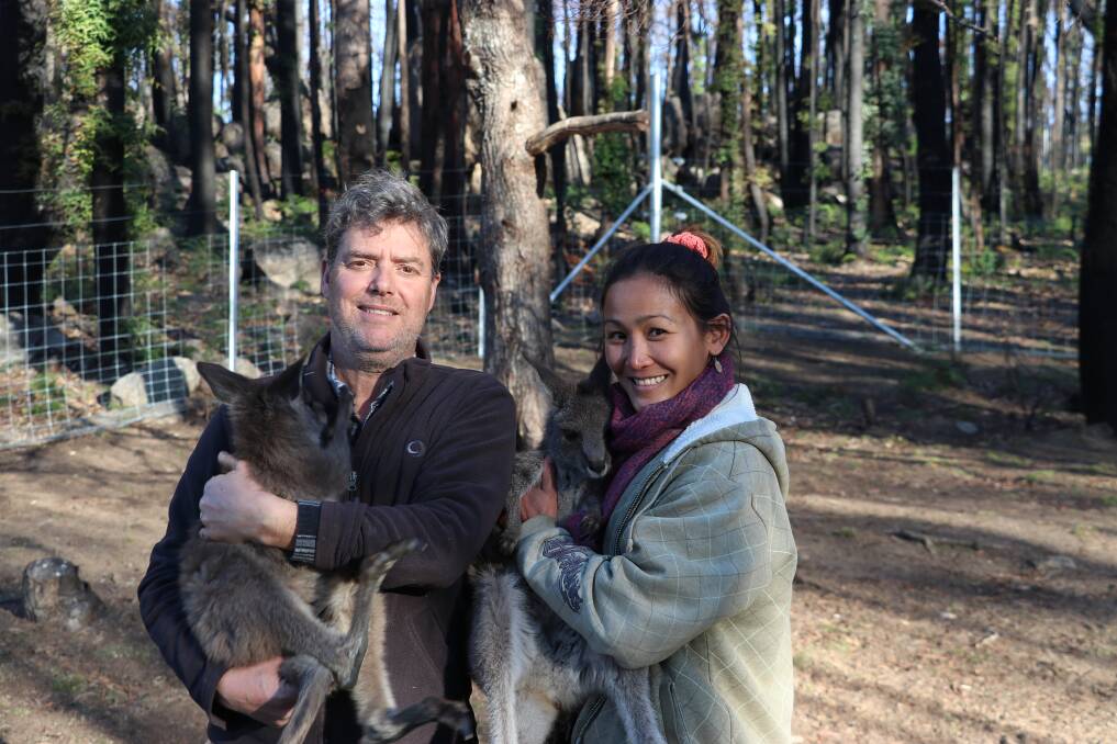 Peter and Mimi at their Tantawangalo property where they have been able to start treating injured animals and returning them to the Tantawangalo State Forest.