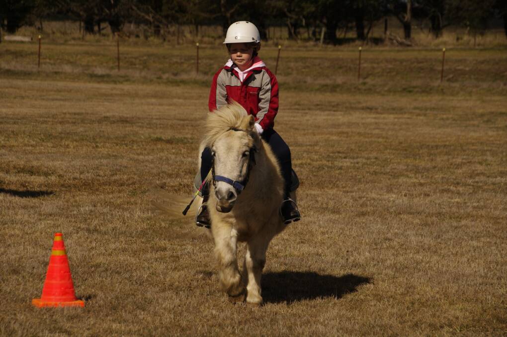 Lydia Jamieson on her Shetland pony Bart working out at the Delegate Pony Club rally on Saturday.
