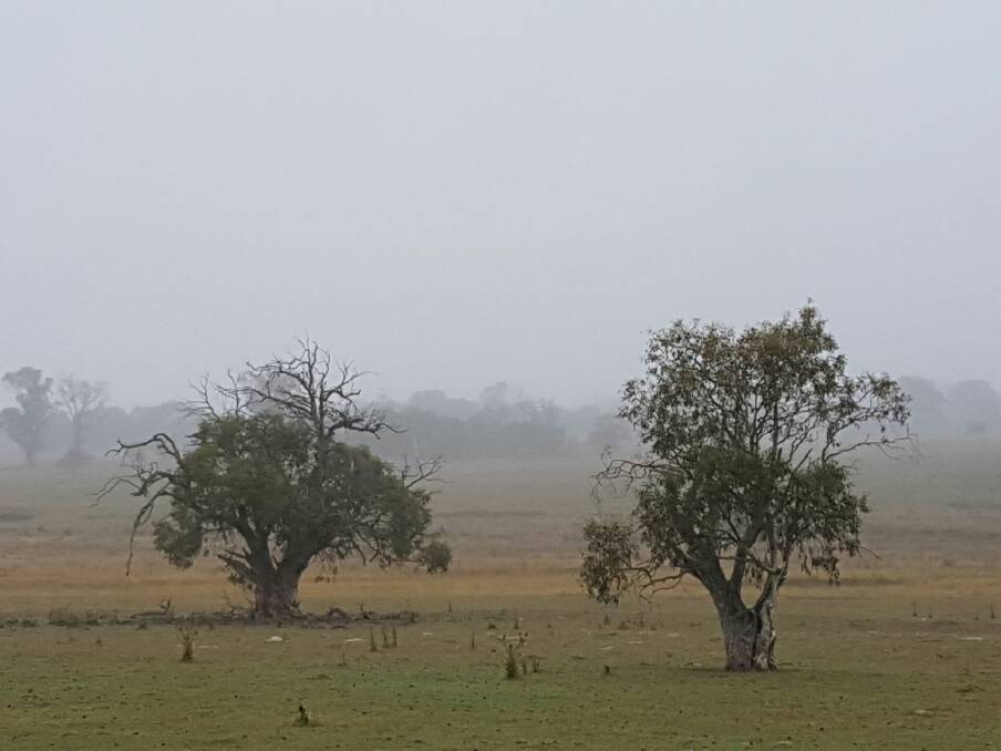 CHANGING WEATHER: Following a hot Saturday in Bombala, temperatures plummeted to around 10 degrees on Sunday with the area receiving 3.2mm of rain.