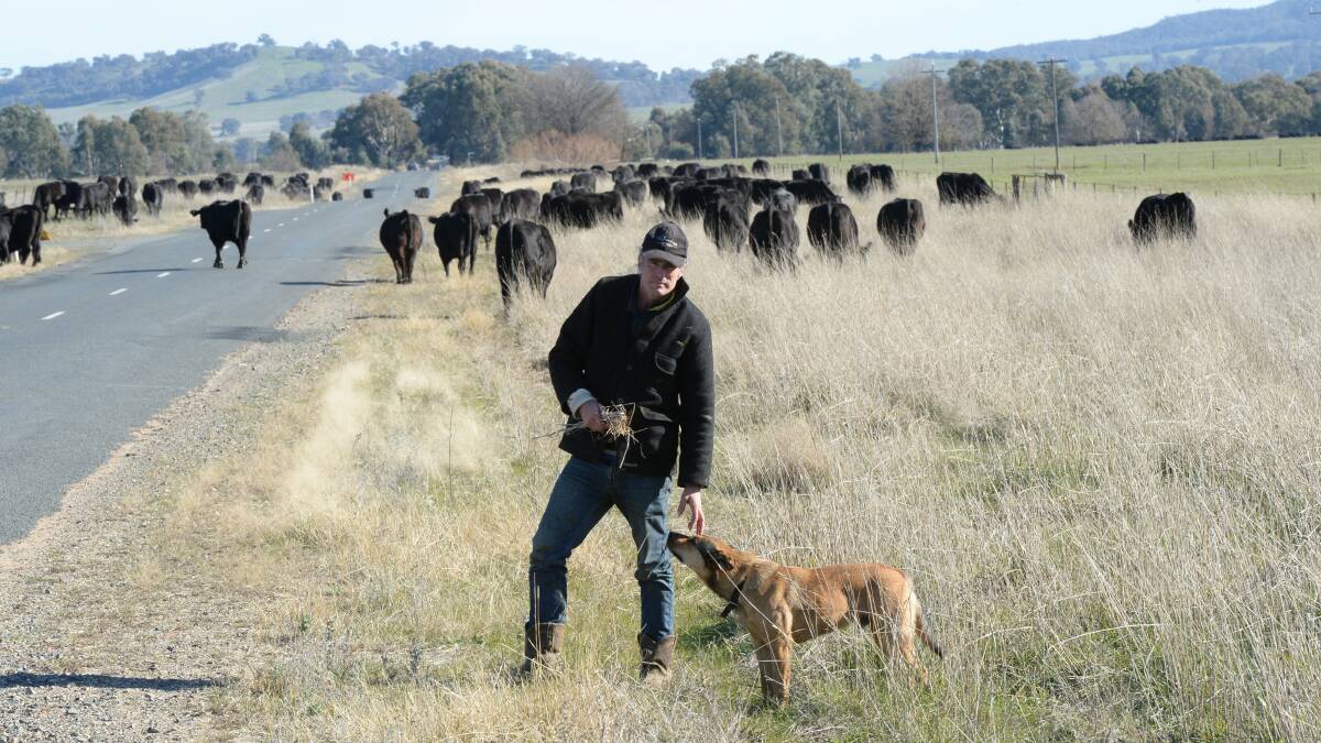James Houston with his dog Reg near Holbrook. The LLS did work with him, but many rules are unworkable and he feels LLS staff lack ag experience.