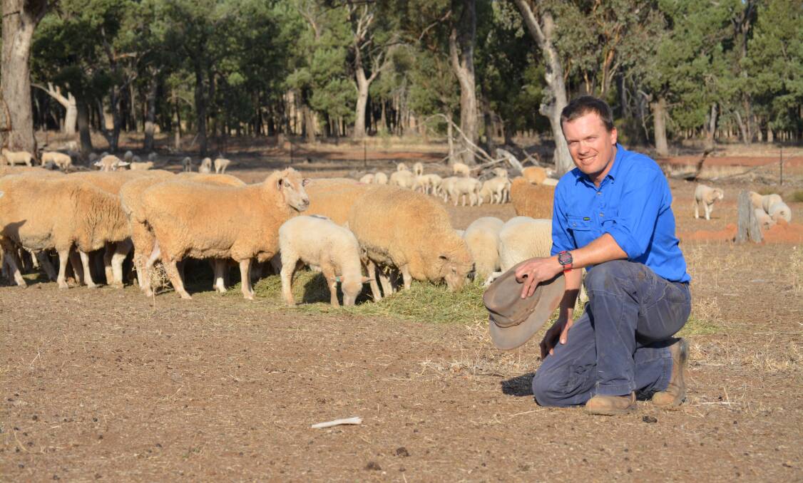 Worth the wait - Jarrod Amery, "Velu", Forbes,  is looking forward to top spring prices for lamb. Photo by Hannah Powe.
