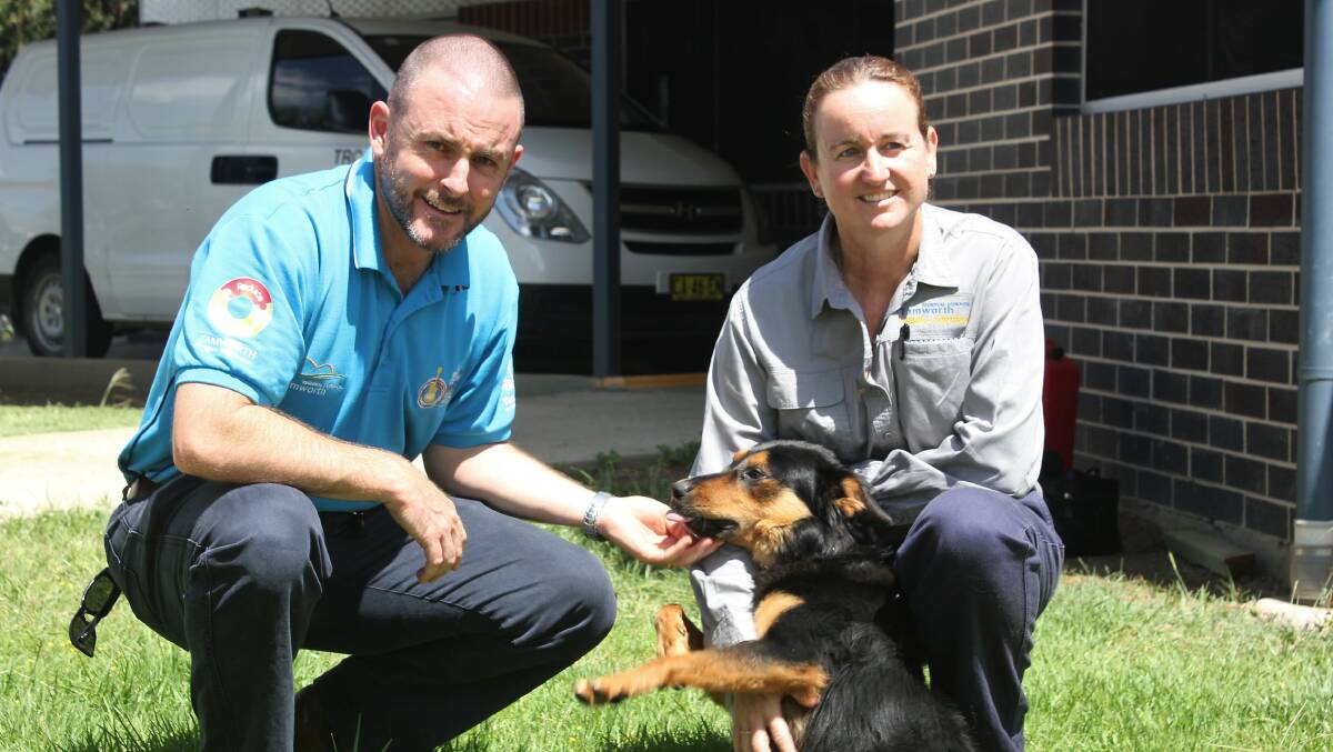 THINK FIRST: Tamworth Regional Council's Ross Briggs and animal control officer Melissa Molloy with Bronx. Photo: Madeline Link