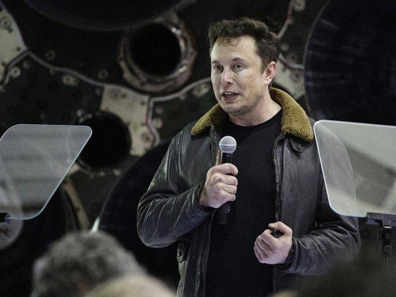 Elon Musk responded via Twitter to NSW MP Jeremy Buckingham's Blue Mountains tunnel inquiry.