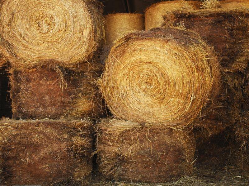 A man has been arrested over a scam in which he promised to sell bales of hay but failed to deliver.