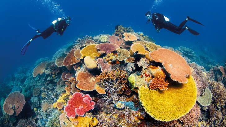 The Great Barrier Reef. Photo: Tourism and Events Queenslan