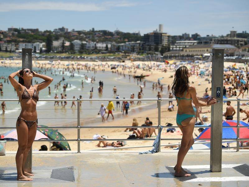 Most of Sydney was pushing 40 degrees on Saturday.