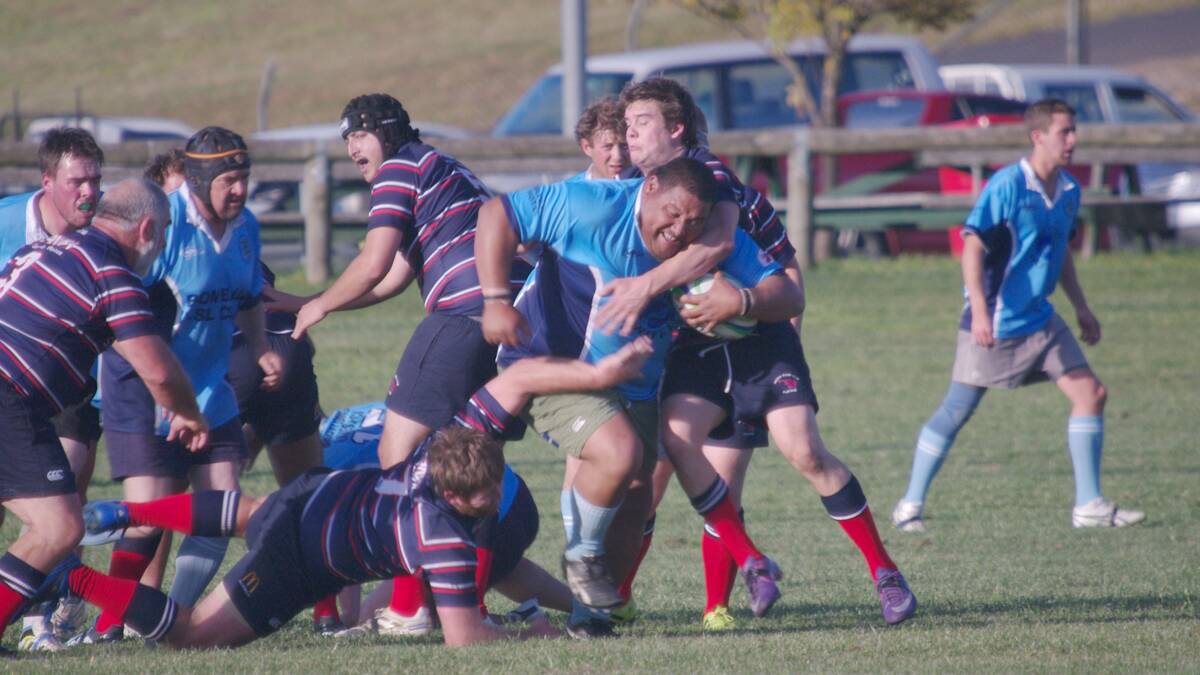 The Bombala Bluetongues rugby union team showed promise in their clash with premiership favourites, the Milton-Ulladulla Playpus, at Bombala on Saturday.