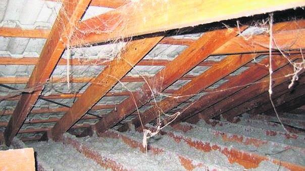 Loose-fill asbestos insulation as shown on WorkCover website.