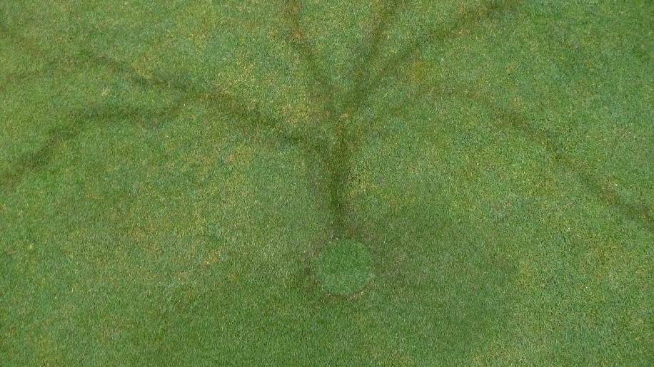 NAROOMA: A bolt of lightning left a remarkable feature on the second green at the Narooma Golf Course last Wednesday.