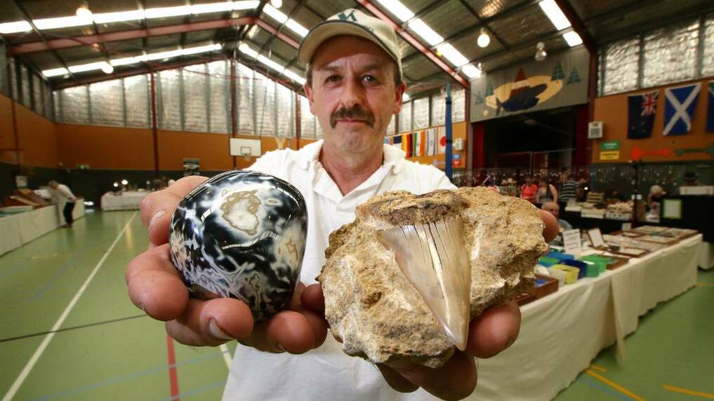 Laang dairy farmer and agate collector Brian Salmon with a polished Moonlight gemstone found in The Otways and a fossilized tooth from a giant mako shark — believed to be 10.5 metres long — found near Port Campbell. 