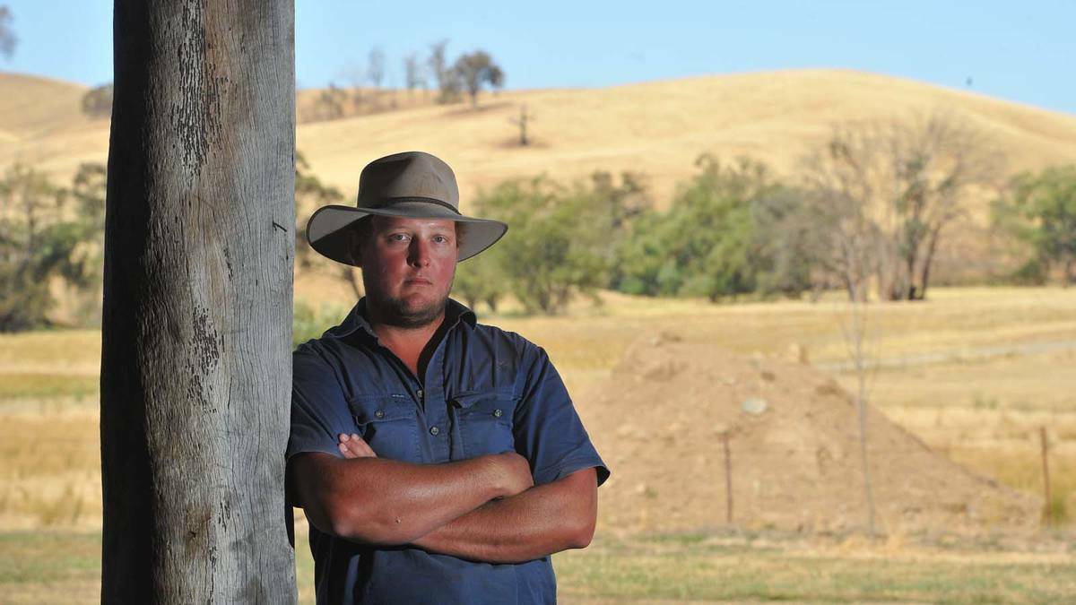 Things are back to normal for Tarcutta farmer James Douglas, who lost 1000 cattle in the fires last year. Picture: Addison Hamilton 
