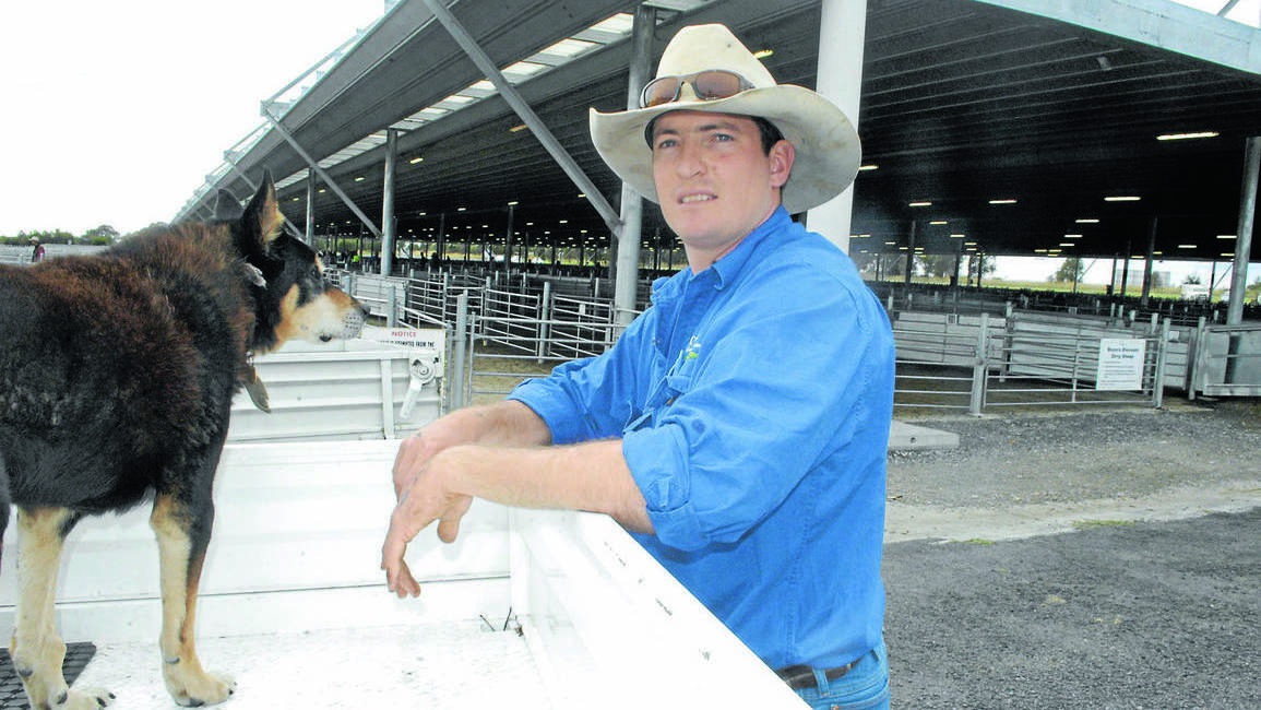  Central Tablelands Livestock Exchange manager Nathan Morris says the big sell-off due to dire seasonal conditions is continuing but will have to end soon because there won’t be any livestock left to send to market. Picture: Brian Wood