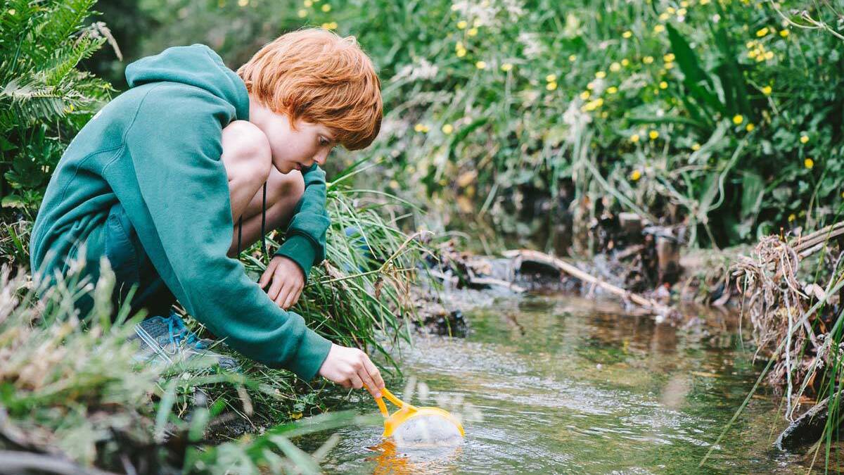 Students from Blackheath Public School discover tadpoles and learn how to test for water pollution during a recent visit to Popes Glen Reserve. 