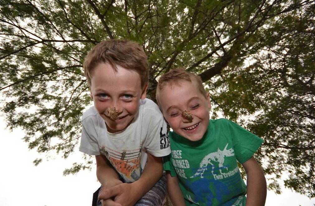  Rixon (6) and brother Deklan (9) Green of North Nowra play with cicada shells in what has been a very noisy summer for Shoalhaven residents. 