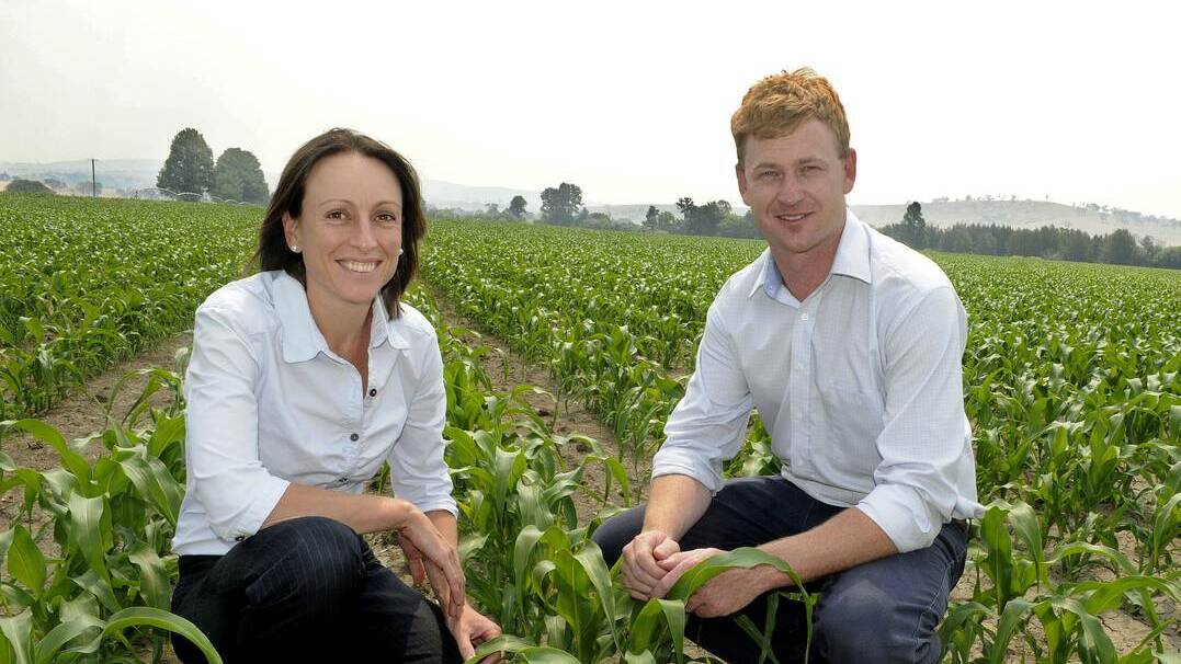 Grain broker Tom Roberts and Igrain operations manager Tracey Carolan in a local corn field, having achieved the milestone of sales of one million tonnes since they kicked off in 2009. 