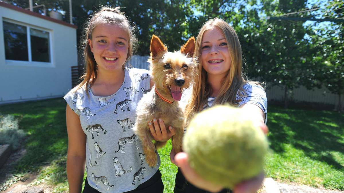 Wagga sisters Lauren, 14, and Kayla Macleod, 15, are happy for their dog Roxy's return after she went missing on New Year's Eve. Picture: Addison Hamilton