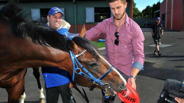 On the ball: Blue Diamond hope Chivalry hams it up with trainer Mark Kavanagh, left, and part-owner and Carlton captain Marc Murphy. Photo: Vince Caligiuri