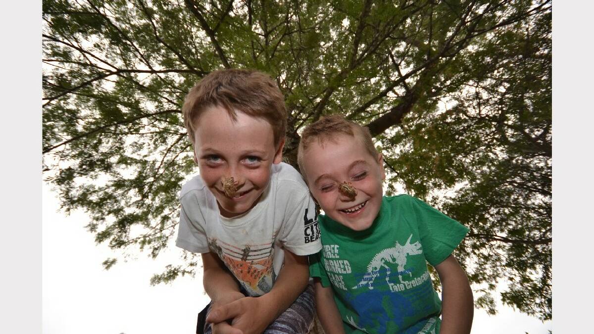 NOWRA: Rixon (6) and brother Deklan (9) Green of North Nowra play with cicada shells in what has been a very noisy summer for Shoalhaven residents.